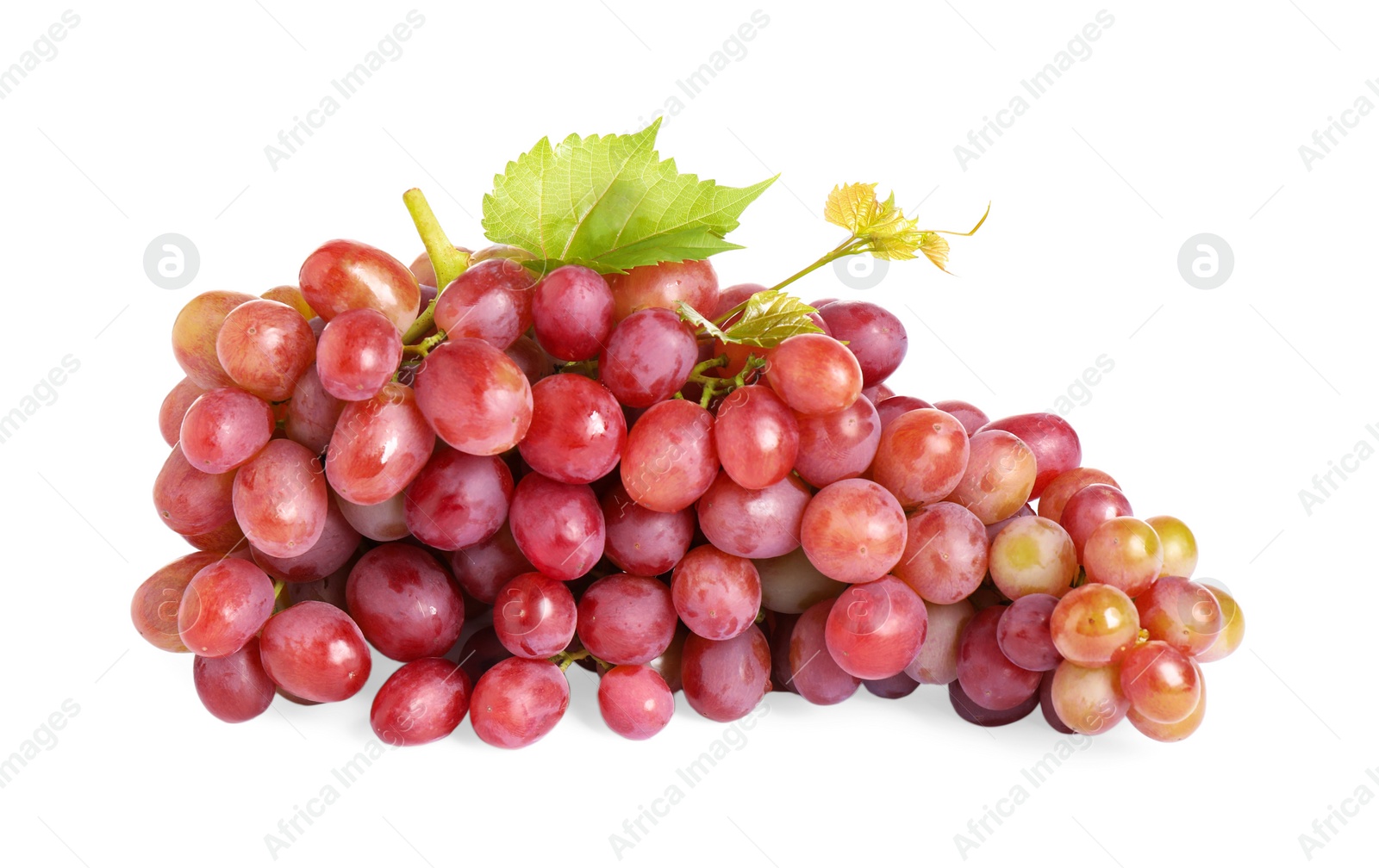 Photo of Bunch of fresh ripe juicy grapes isolated on white