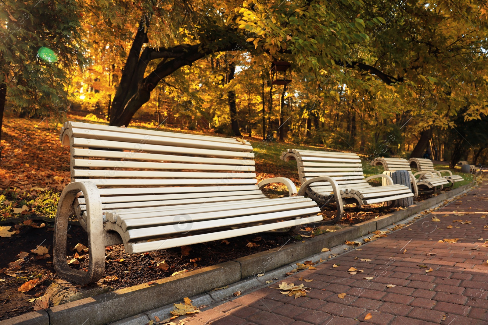 Photo of Beige wooden benches and yellowed trees in park