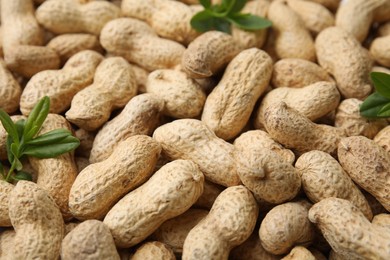 Photo of Many fresh unpeeled peanuts and leaves as background, closeup