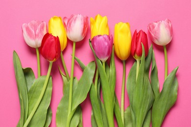 Photo of Beautiful colorful tulips on pink background, flat lay