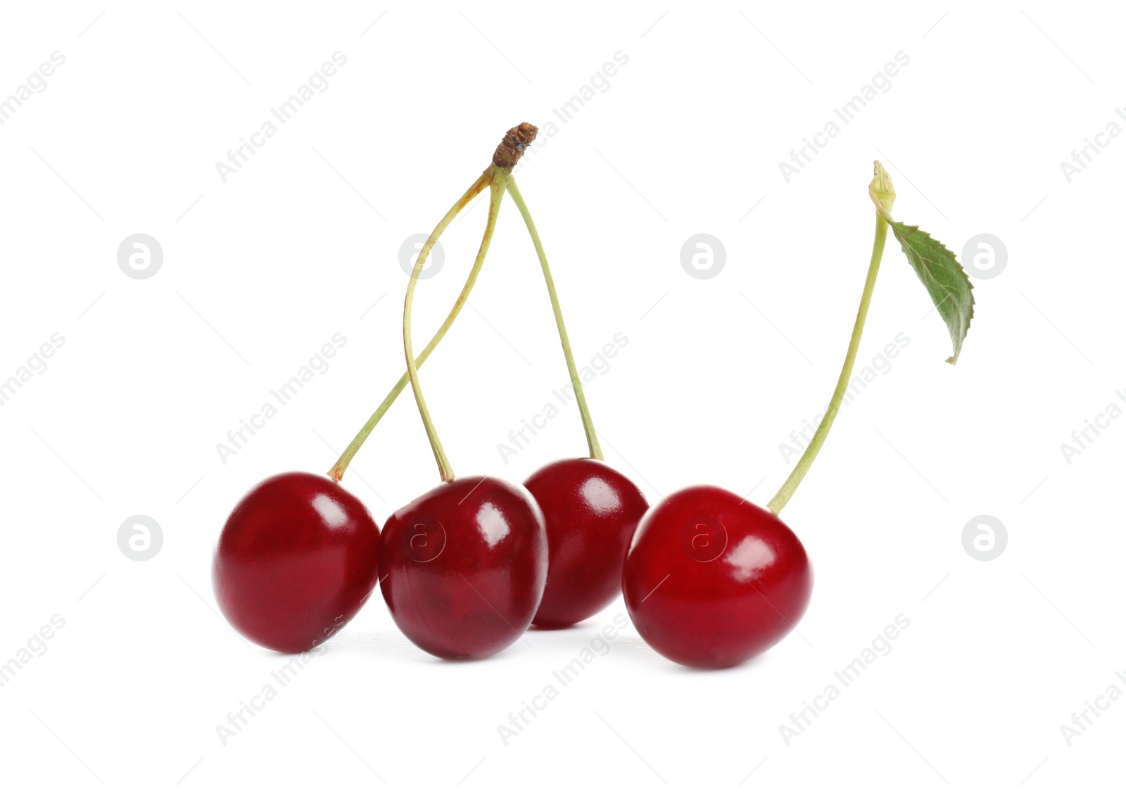 Photo of Delicious ripe sweet cherries on white background