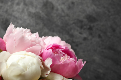 Beautiful peony flowers on grey background, closeup