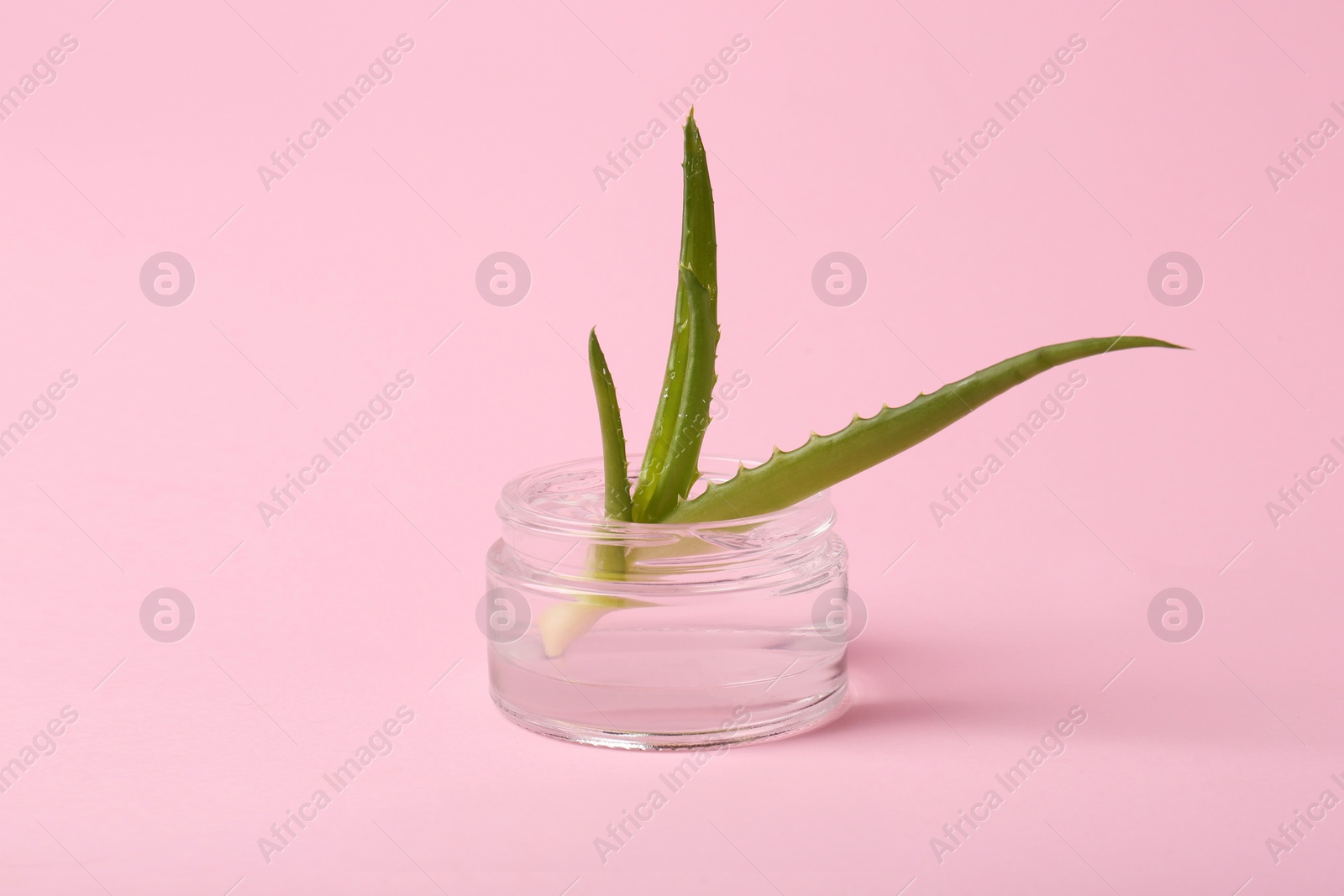 Photo of Jar of natural gel and fresh aloe on pink background