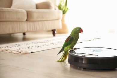 Photo of Modern robotic vacuum cleaner and Alexandrine parakeet on floor indoors
