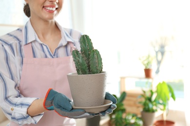 Photo of Young woman holding pot with plant at home, closeup. Space for text