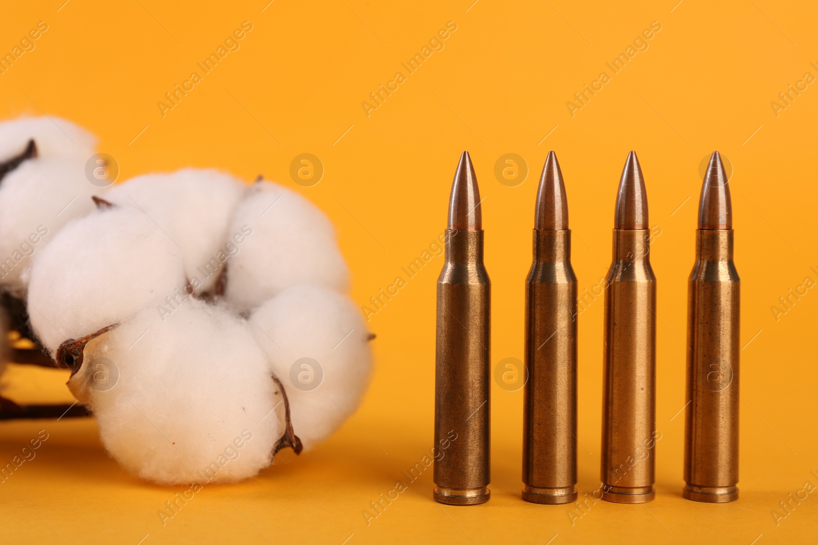 Photo of Bullets and beautiful fluffy cotton flowers on yellow background, closeup