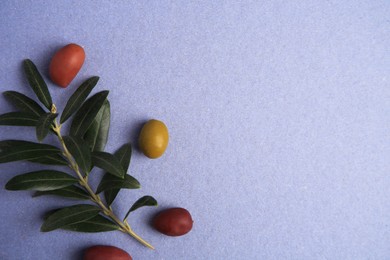 Different fresh olives and leaves on violet background, flat lay. Space for text