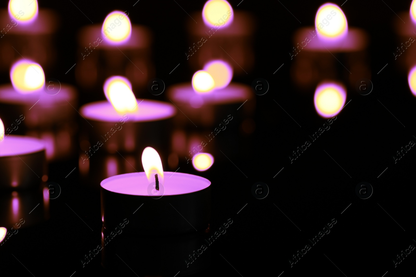 Image of Burning violet candle on black background, closeup. Funeral attributes