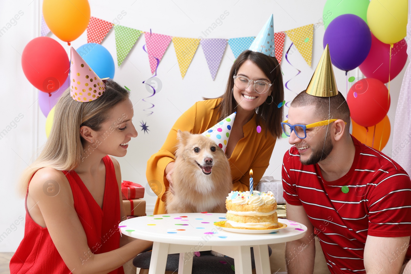 Photo of Happy friends celebrating their pet's birthday in decorated room