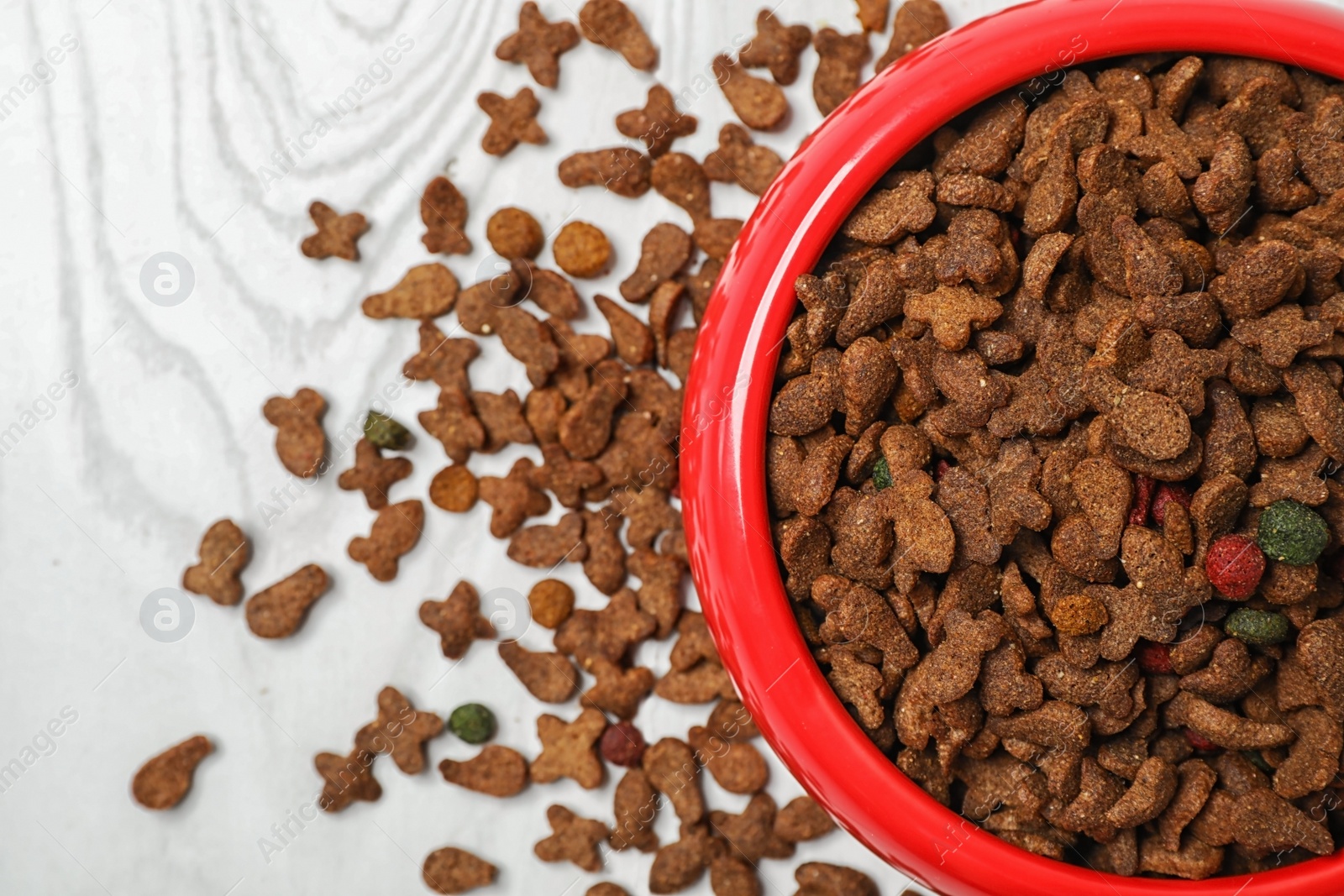 Photo of Bowl with food for cat or dog on wooden background. Pet care