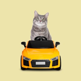 Image of Cute tabby cat in toy car on pale light yellow background
