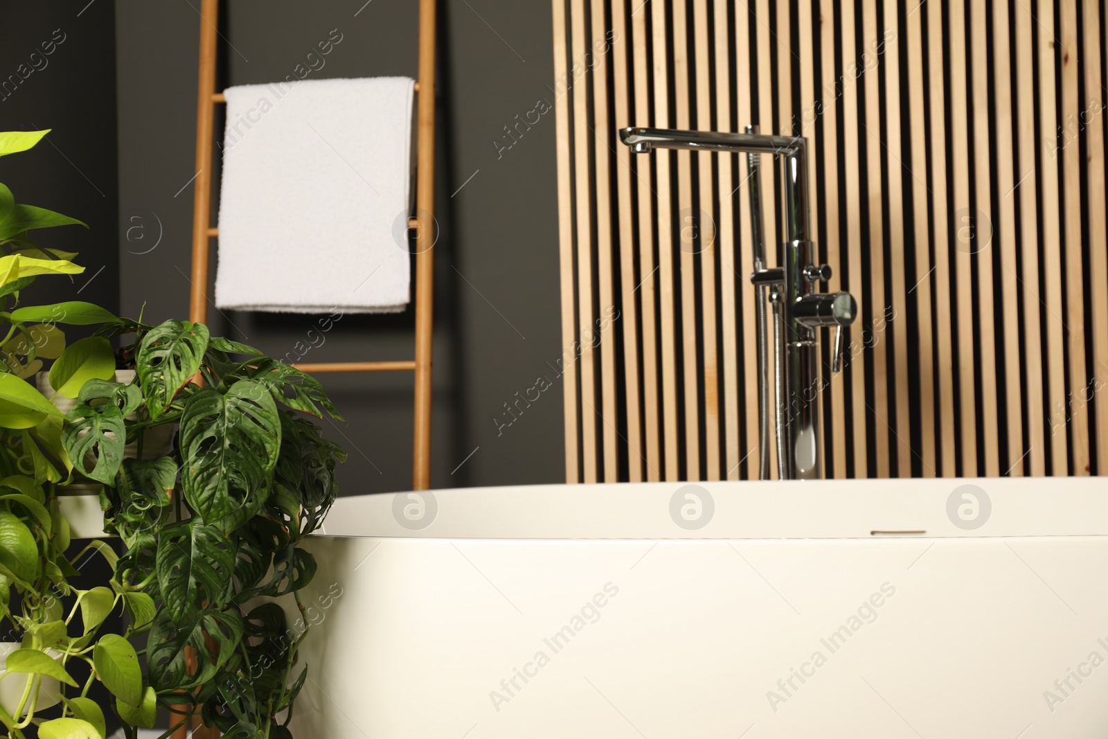 Photo of Spa day. Stylish bathroom interior with ceramic tub and green houseplants