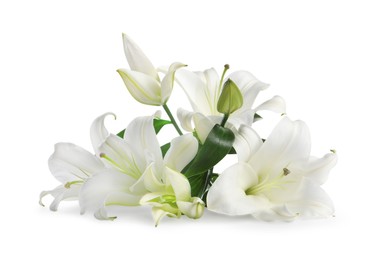 Photo of Beautiful fresh lily flowers isolated on white