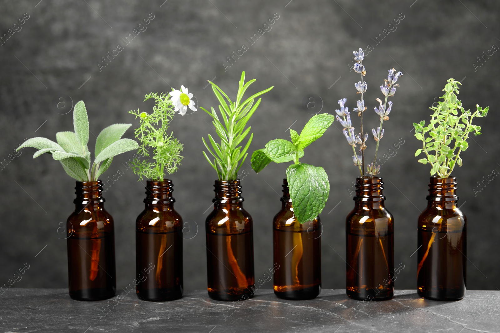 Photo of Bottles with essential oils and plants on grey textured table