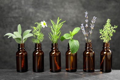 Photo of Bottles with essential oils and plants on grey textured table