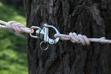 Photo of Climbing ropes with carabiner near tree outdoors, closeup