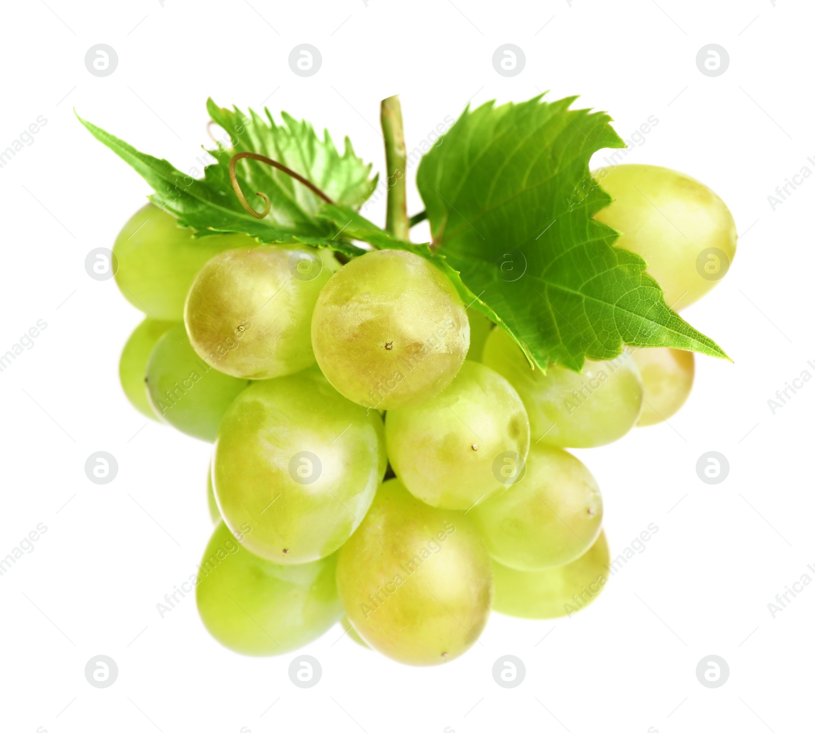 Photo of Fresh ripe juicy grapes isolated on white