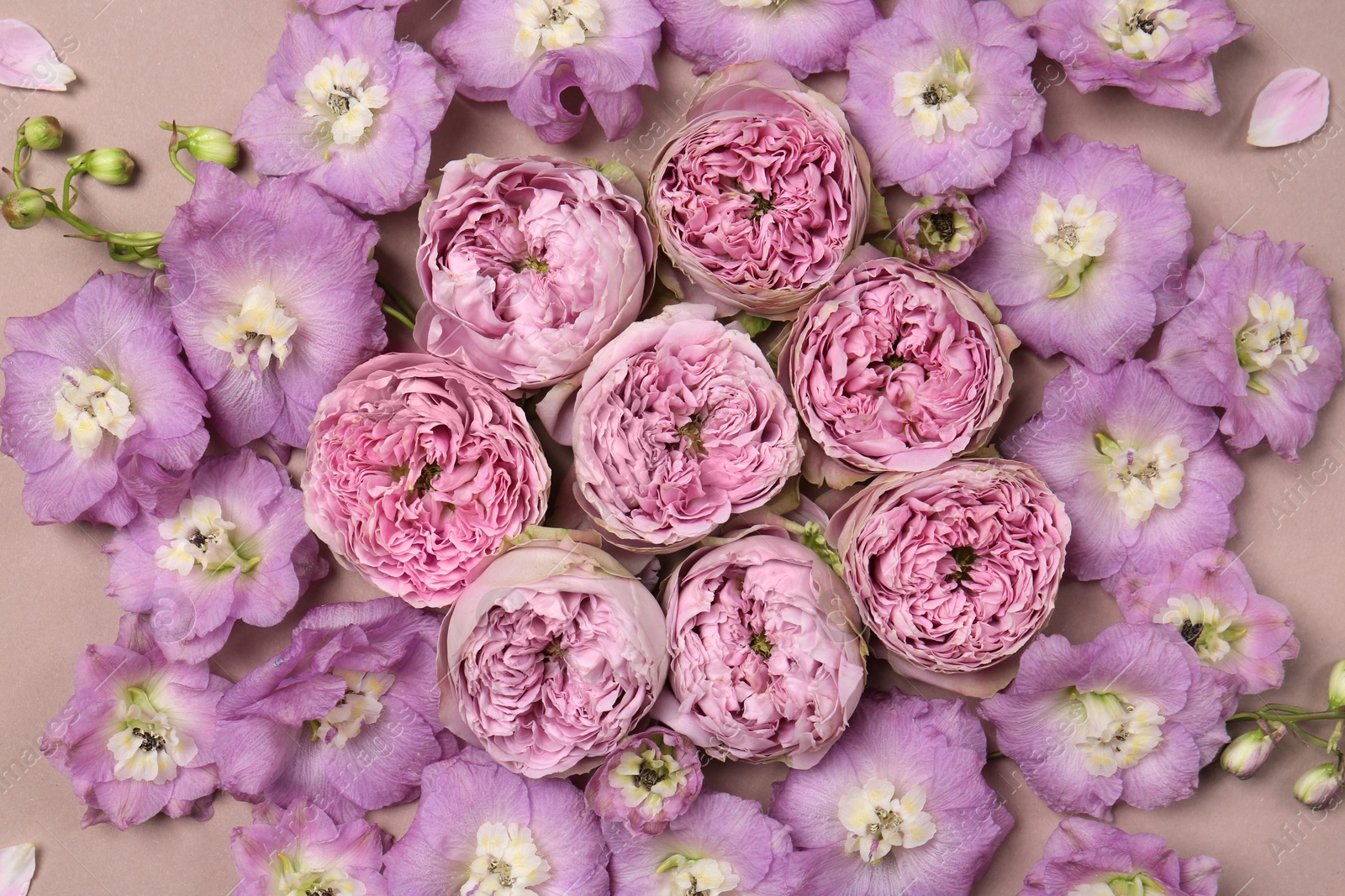 Photo of Flat lay composition with different beautiful flowers on beige background