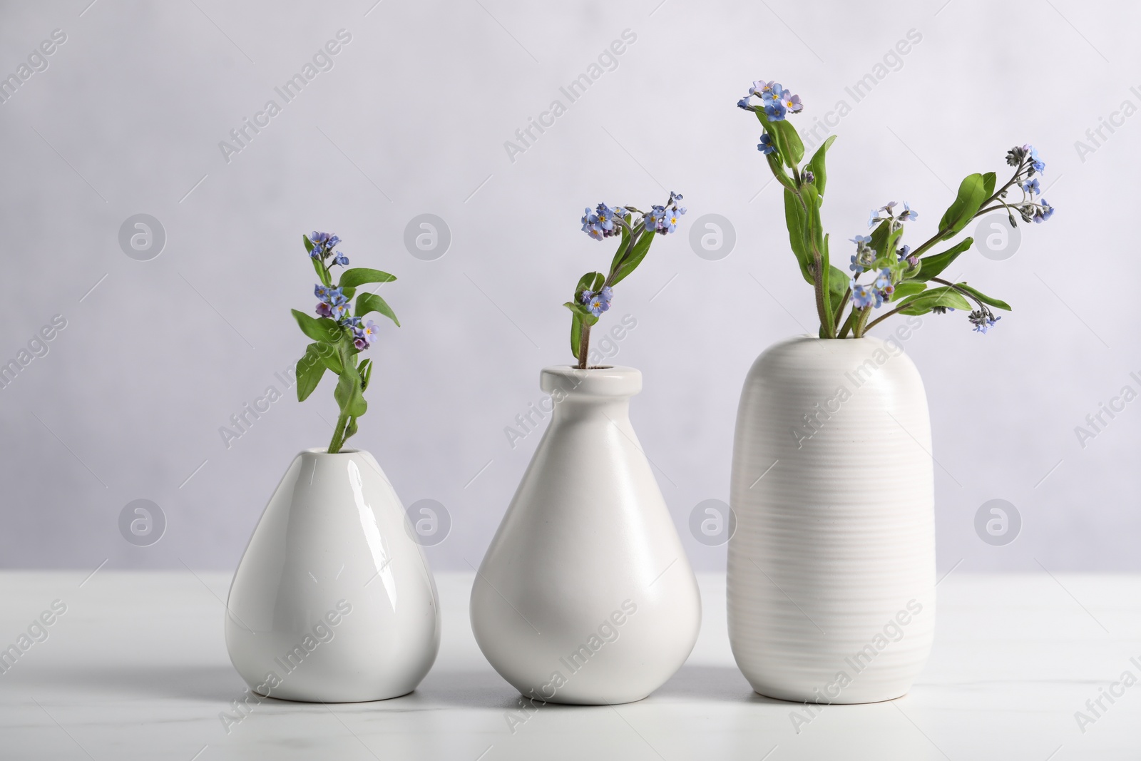 Photo of Beautiful forget-me-not flowers in vases on white marble table, closeup