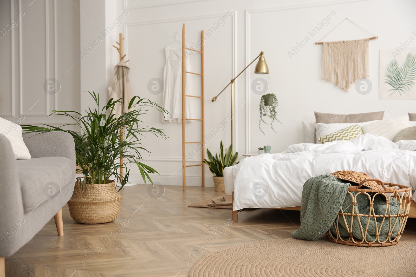 Photo of Modern bedroom with beautiful fresh house plants