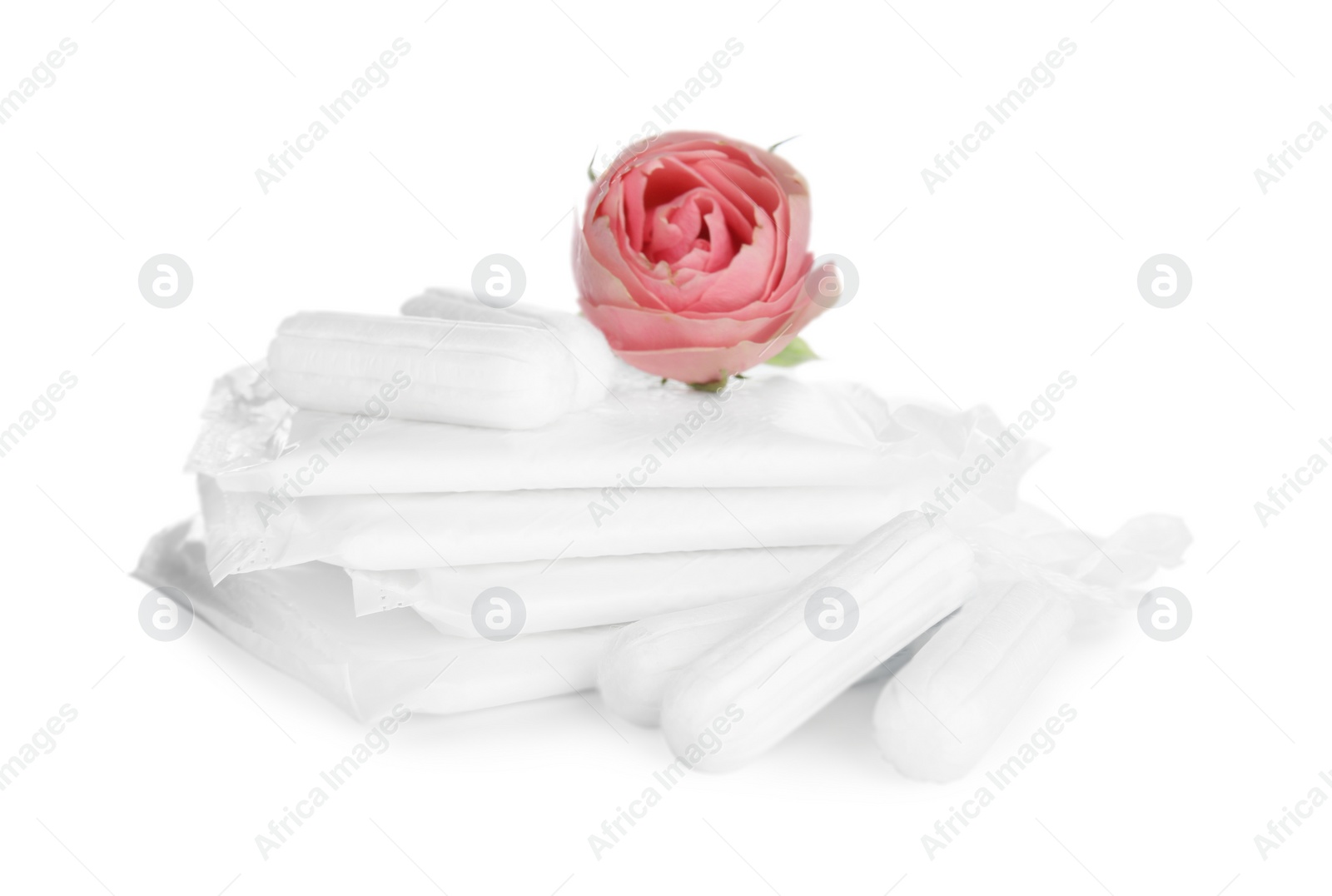 Photo of Tampons, disposable menstrual pads and beautiful rose on white background