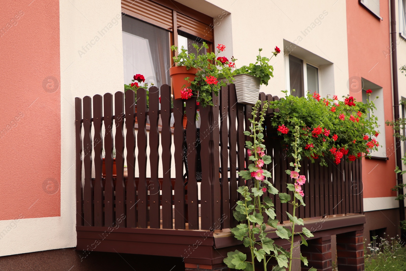 Photo of Wooden balcony decorated with beautiful red flowers