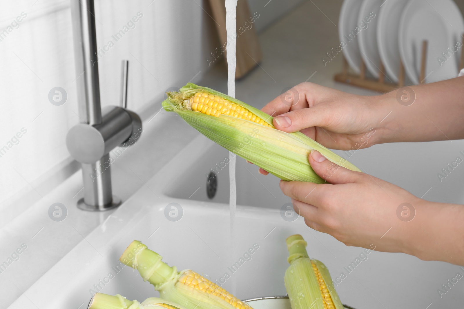 Photo of Woman washing corn cob in kitchen, closeup