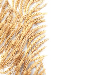 Many ears of wheat on white background, flat lay. Space for text
