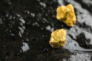 Photo of Shiny gold nuggets on wet stone, closeup. Space for text