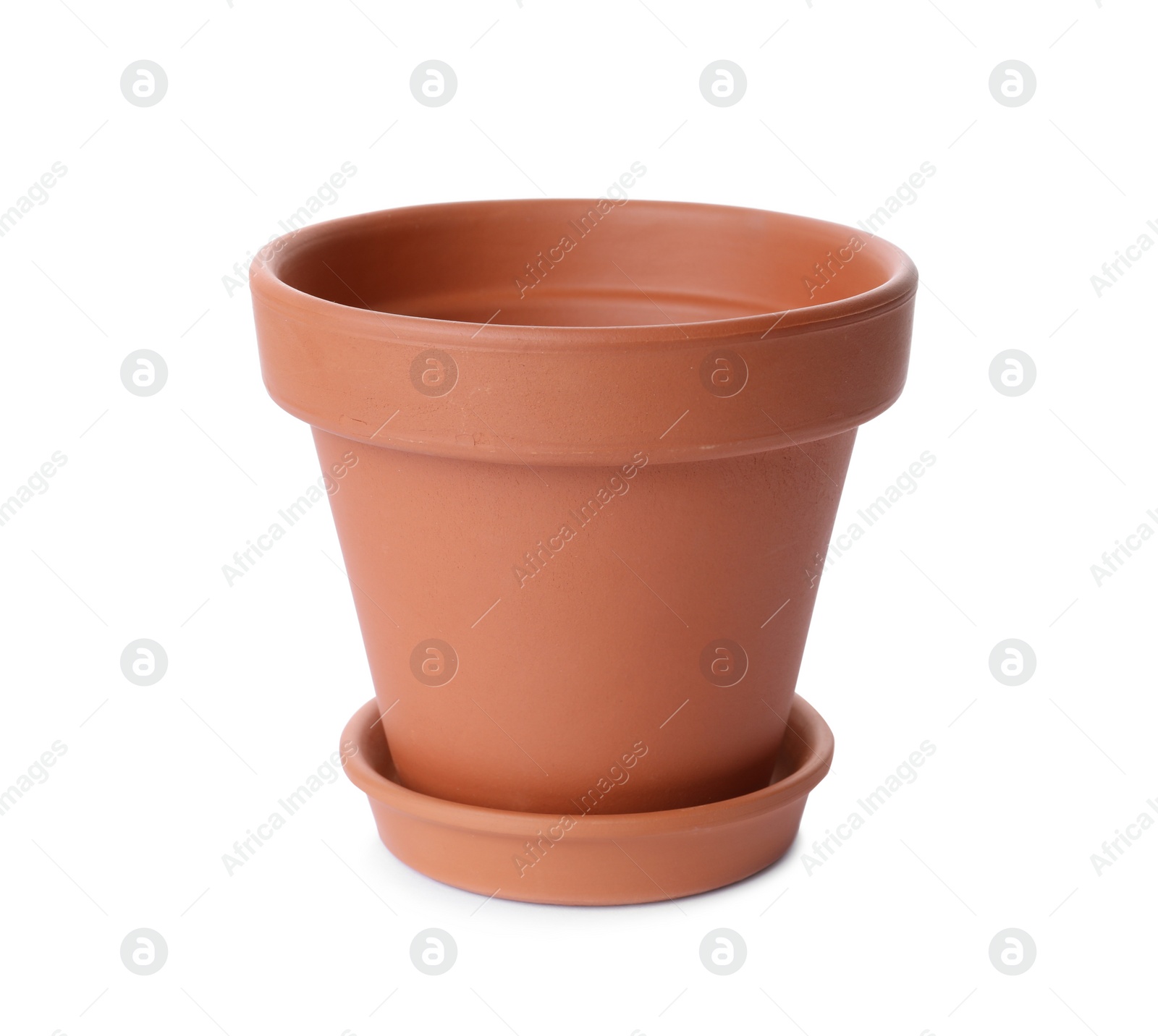 Photo of Stylish terracotta flower pot with saucer isolated on white