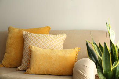 Three pillows on sofa near wall in room. Interior design