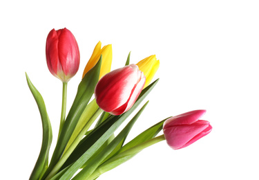 Photo of Beautiful bright spring tulips on white background