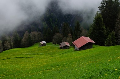 Picturesque view of valley with buildings near forest covered by fog