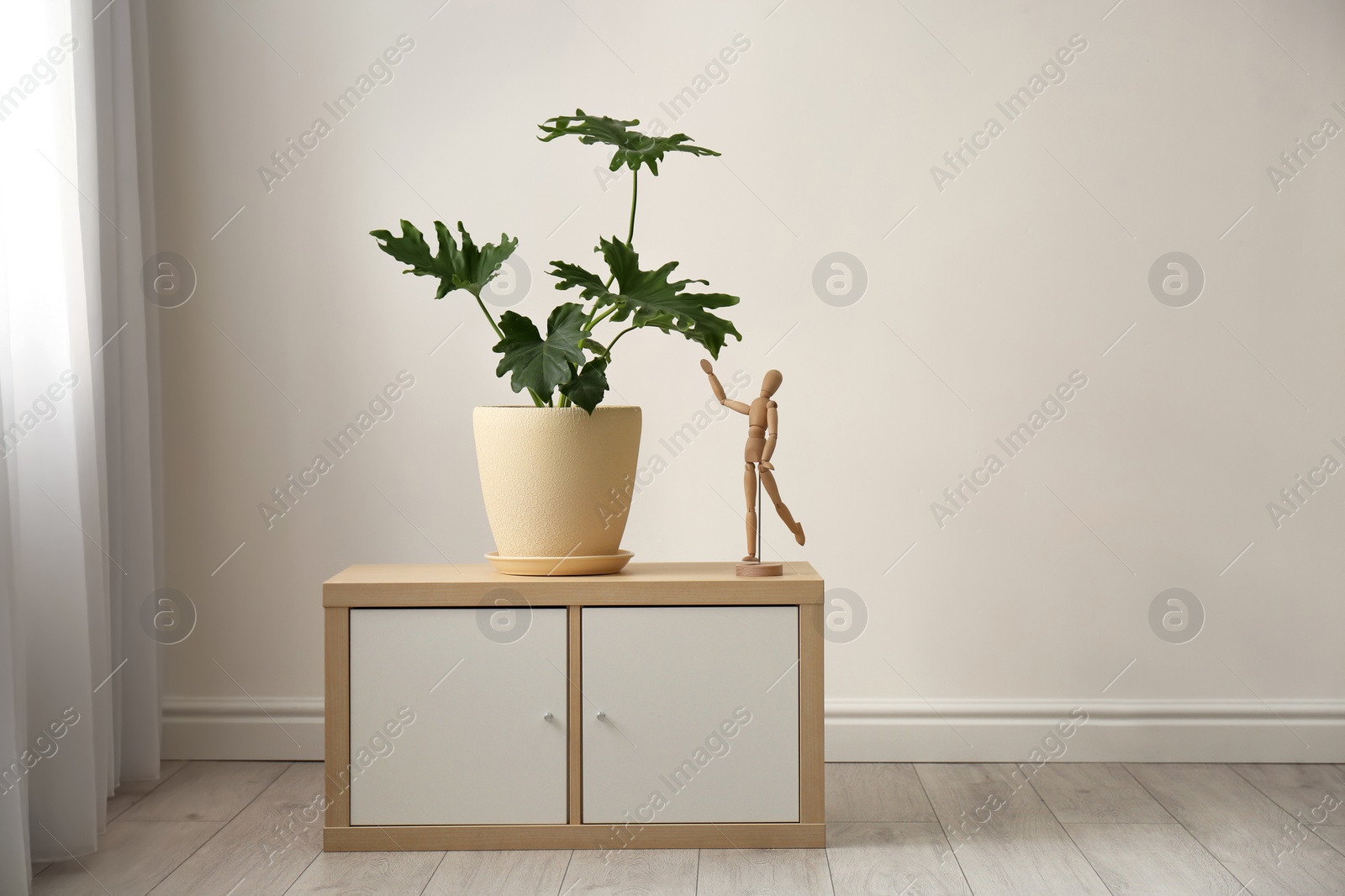 Photo of Tropical plant with green leaves and wooden human figure on cabinet indoors