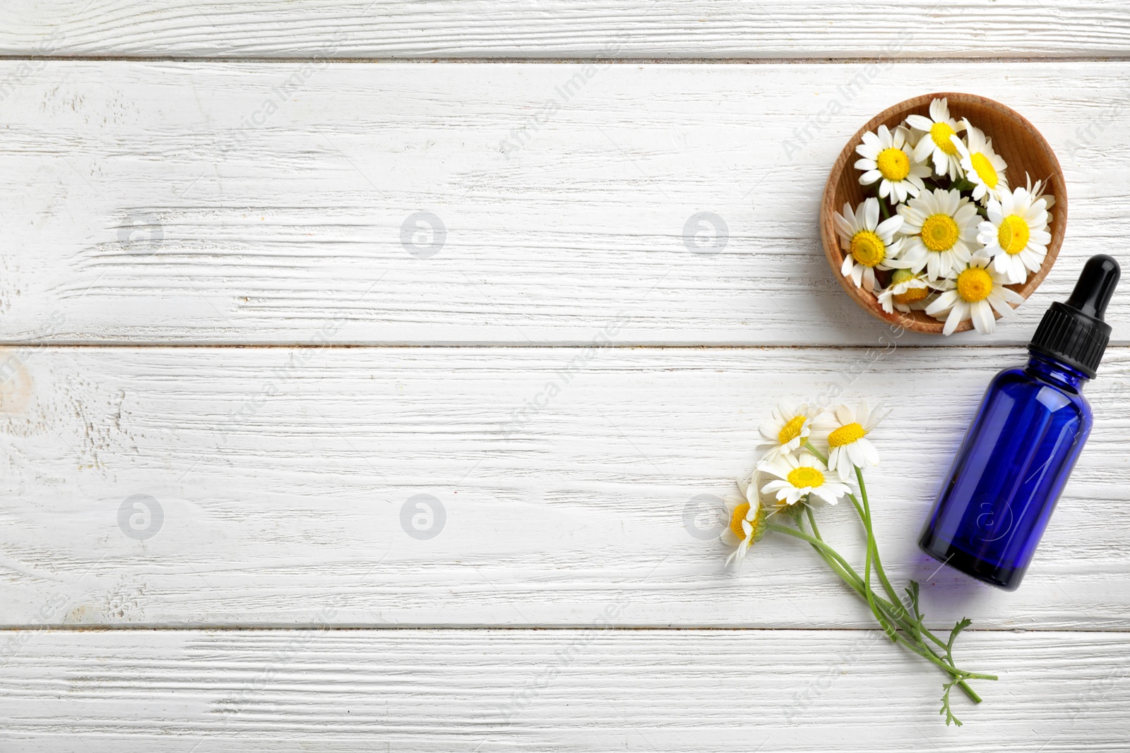 Photo of Bottle of chamomile essential oil and flowers on white table, flat lay. Space for text