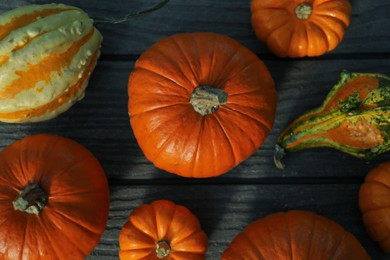 Photo of Many whole ripe pumpkins on wooden table, flat lay