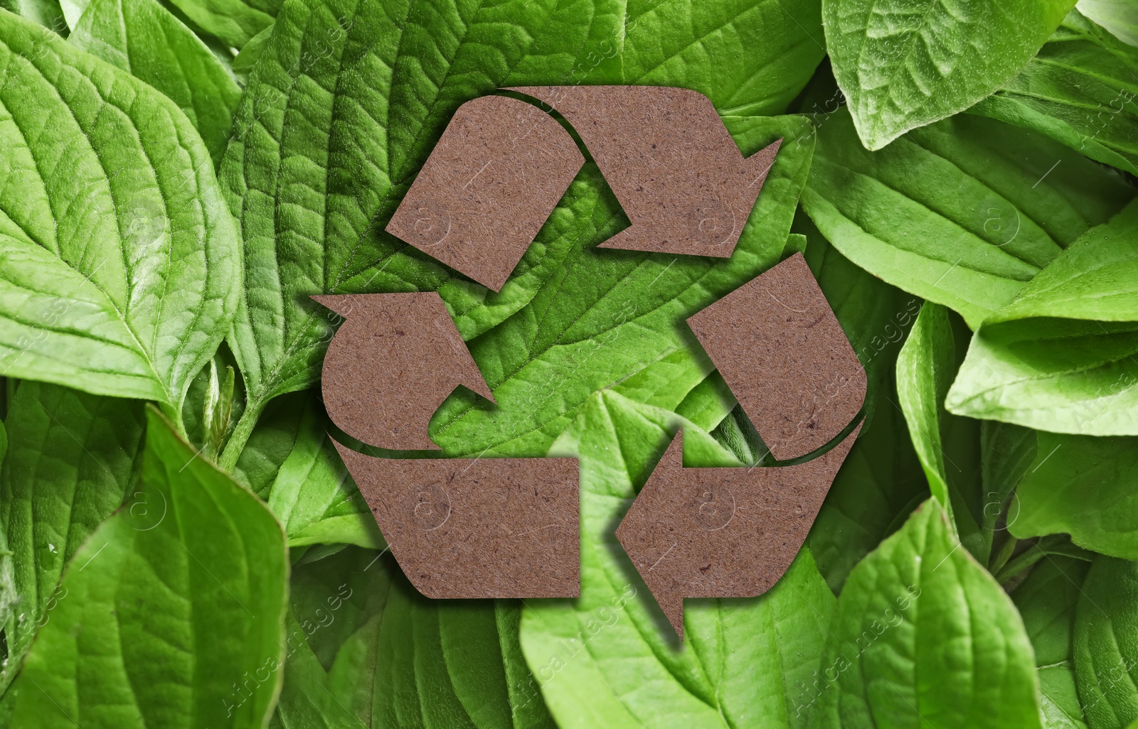 Image of Recycling symbol cut out of kraft paper and fresh green leaves on background