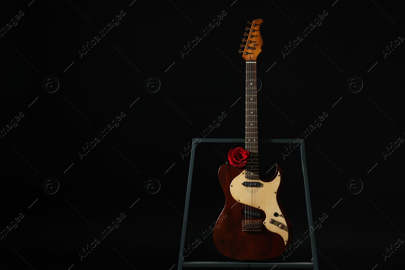 Photo of Beautiful rose near electric guitar on black background, space for text