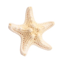 Photo of Beautiful sea star (starfish) isolated on white