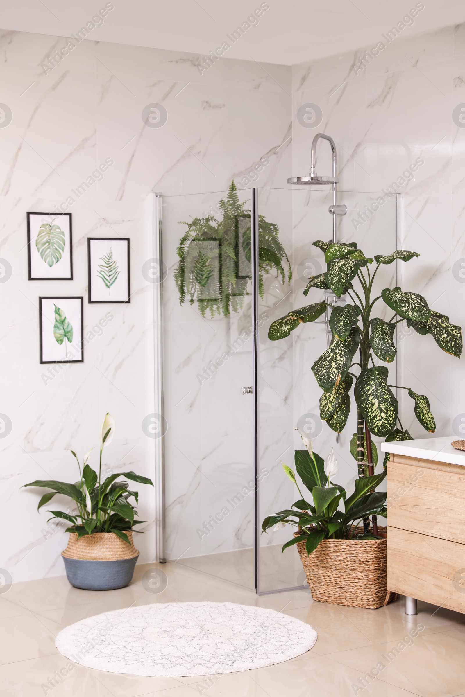 Photo of Green plants in elegant modern bathroom. Interior design