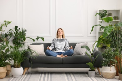 Woman meditating on sofa surrounded by beautiful potted houseplants at home