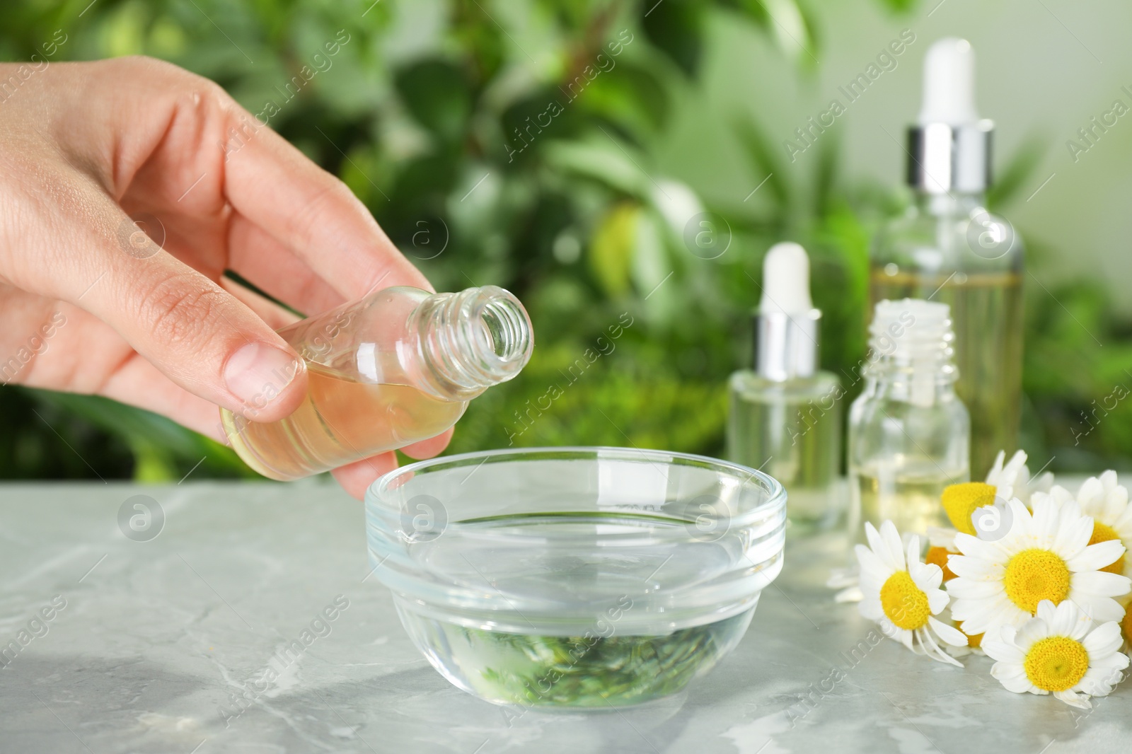 Photo of Woman dripping essential oil into bowl on table, closeup