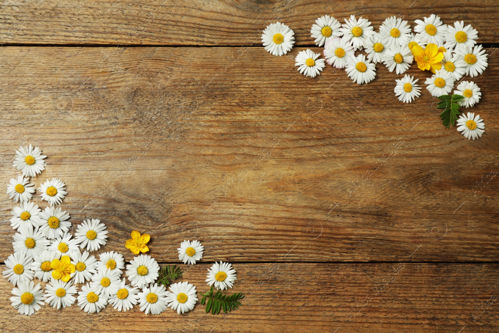 Photo of Beautiful flowers and leaves on wooden table, flat lay. Space for text