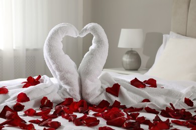 Beautiful swans made of towels and red rose petals on bed in room