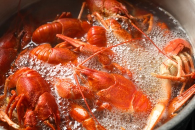 Fresh delicious crayfishes in boiling water, closeup