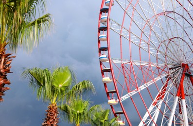 Photo of Beautiful large Ferris wheel and palms against heavy rainy sky outdoors