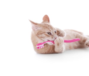 Photo of Adorable cat with toothbrush on white background