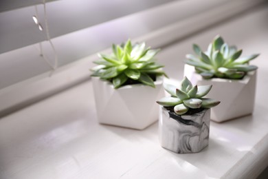 Beautiful potted succulents on white window sill Space for text