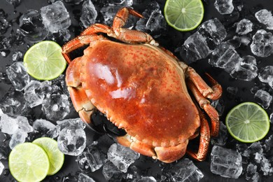 Photo of Delicious boiled crab, lime and ice on black table, flat lay