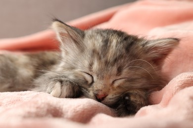 Photo of Cute kitten sleeping on soft pink blanket